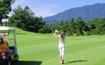 茜ゴルフクラブの販売価格情報