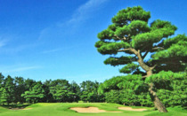 古賀GCの販売価格情報